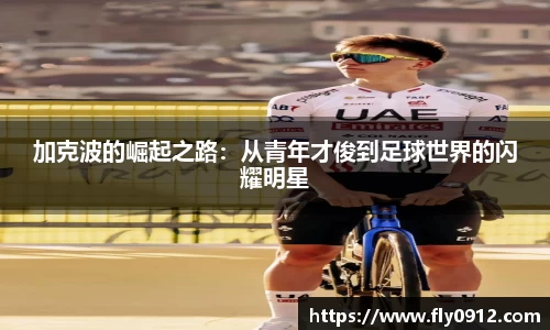 必一运动B-Sports